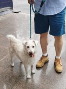 以上这些方面的勤奋