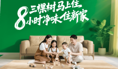 单品冲破到生态结构的跃迁